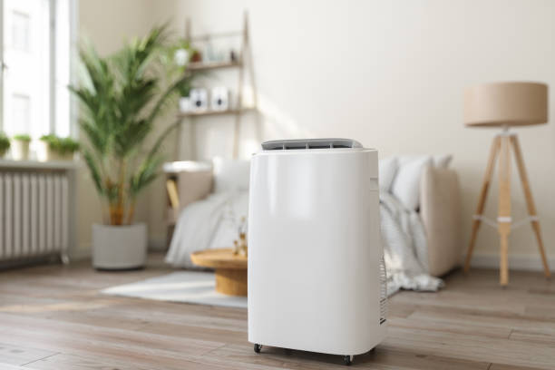 Best Air Filters and Purifiers in Kenmore, WA